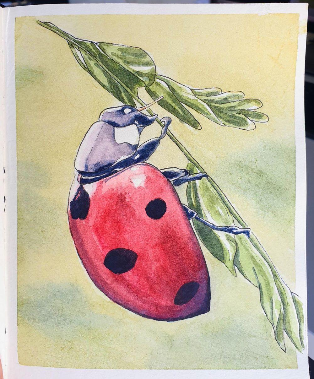 Ladybug - image 1 - student project