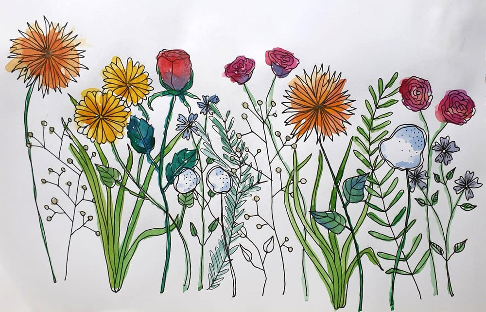 Botanical Line Drawing - image 7 - student project