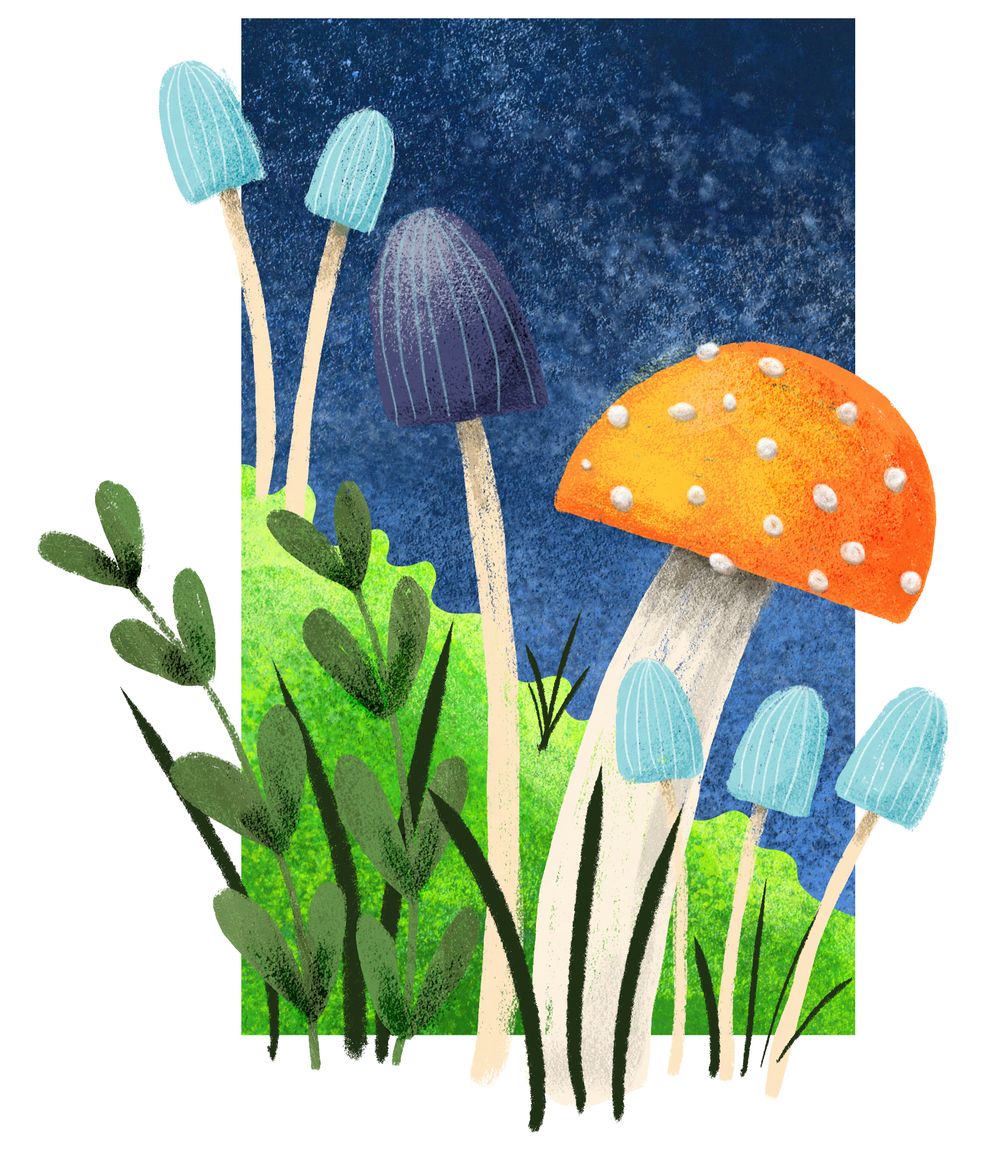 Adobe Fresco Practice - image 3 - student project