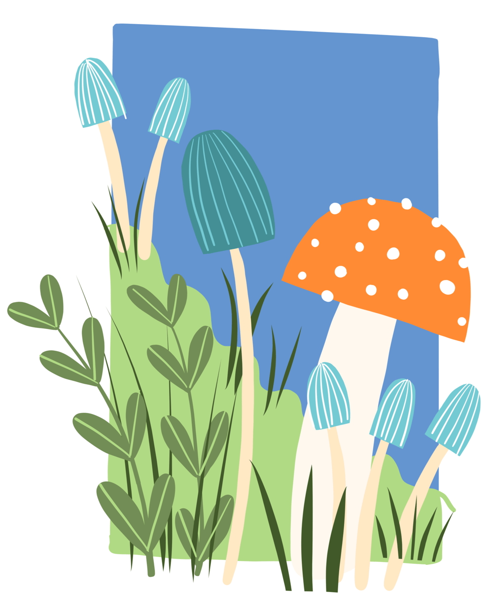 Adobe Fresco Practice - image 1 - student project