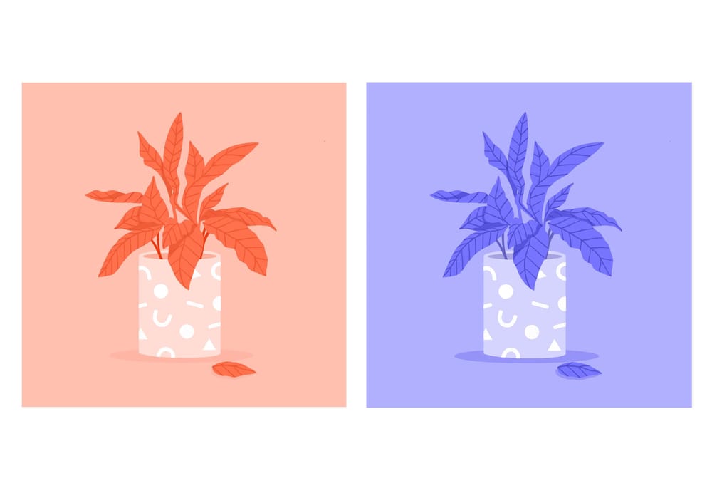 Fun With Colours - image 2 - student project