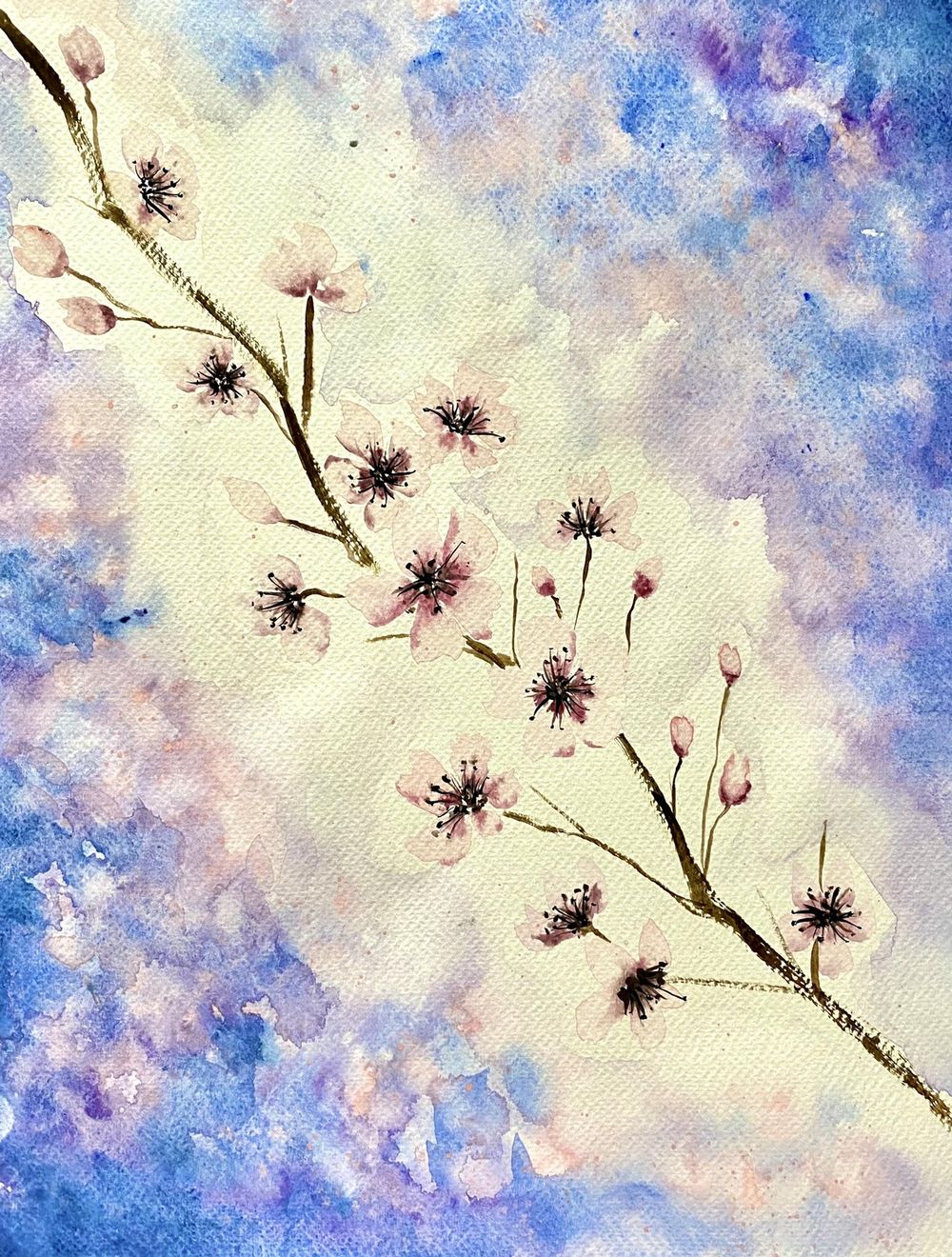 Cherry blossoms projects 1 & 2 - image 1 - student project