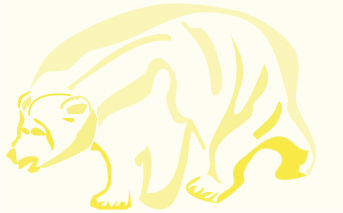Arctic Polar Bear Logo - image 3 - student project