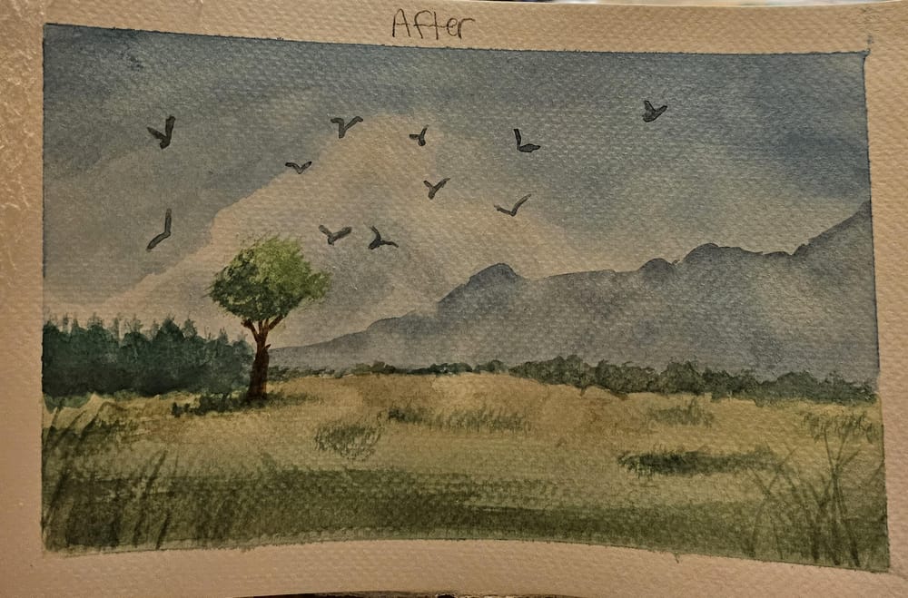 Loose Landscape -Before vs. After - image 2 - student project