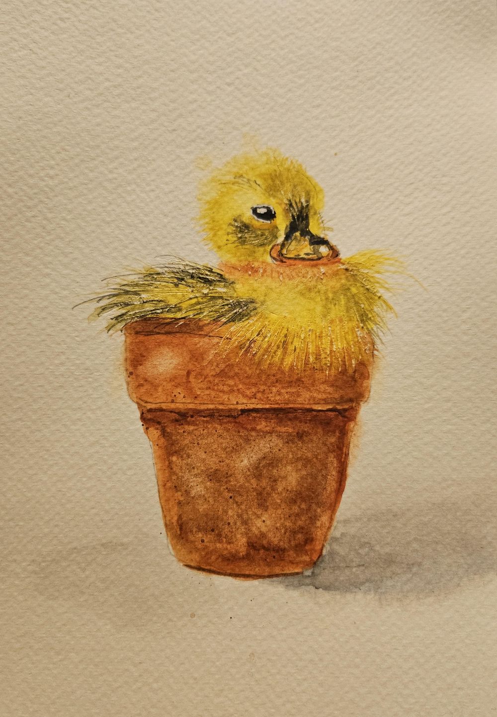 Grumpy Duck & Cuddle Duck - image 1 - student project