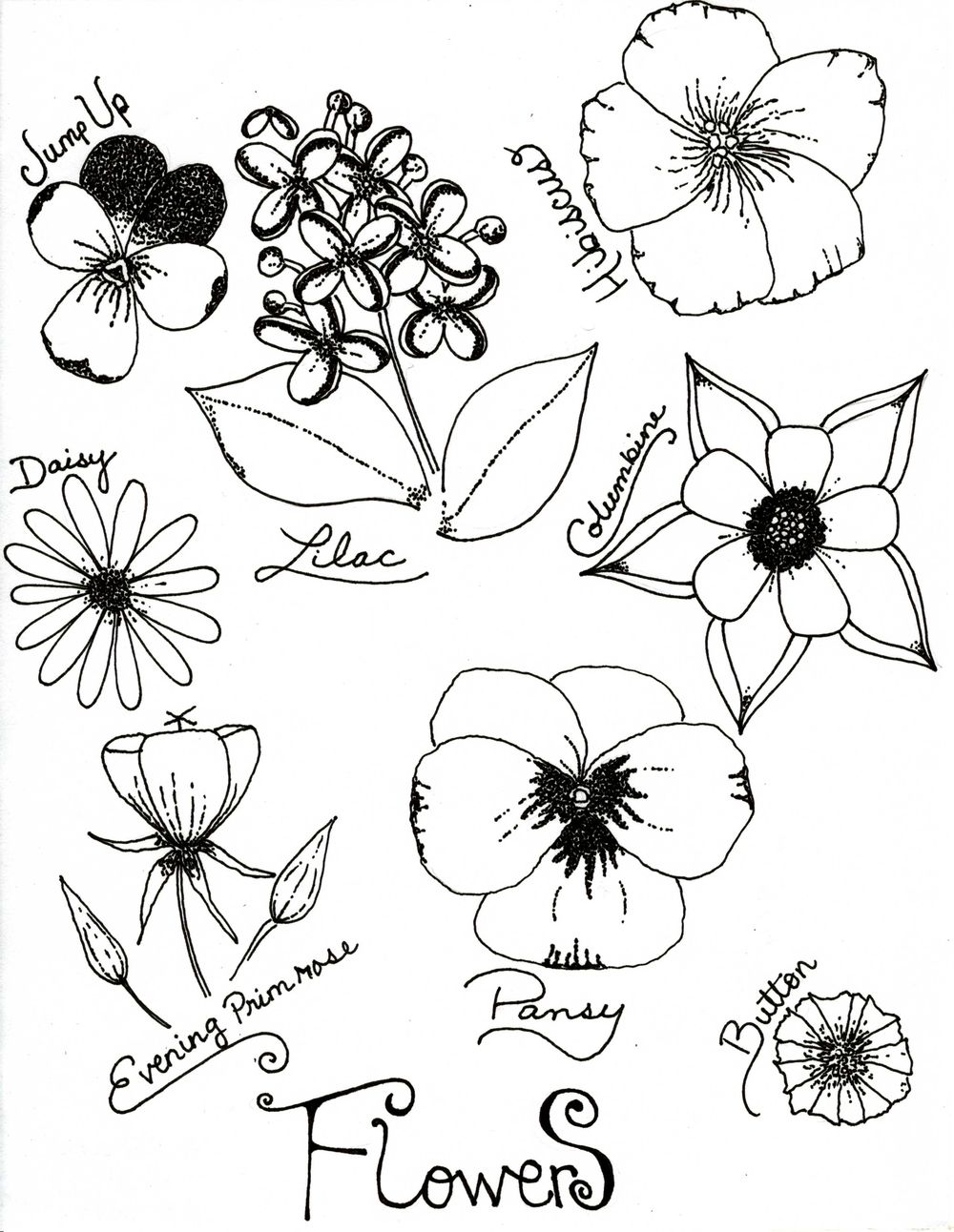 dot work flowers - image 1 - student project