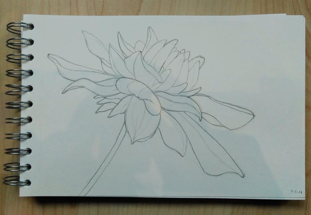 Dahlia - image 1 - student project