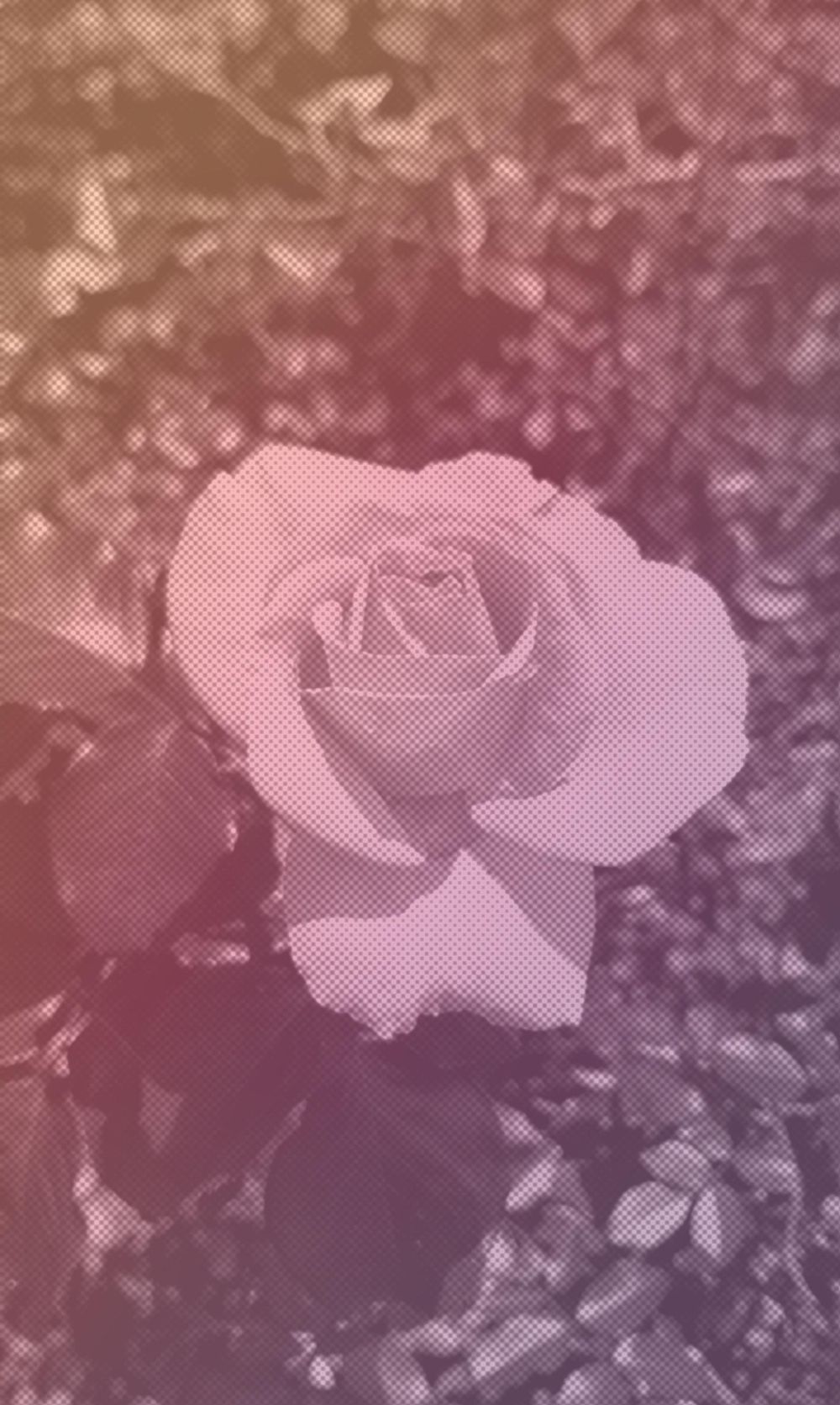 Photoshop Essentials - image 10 - student project