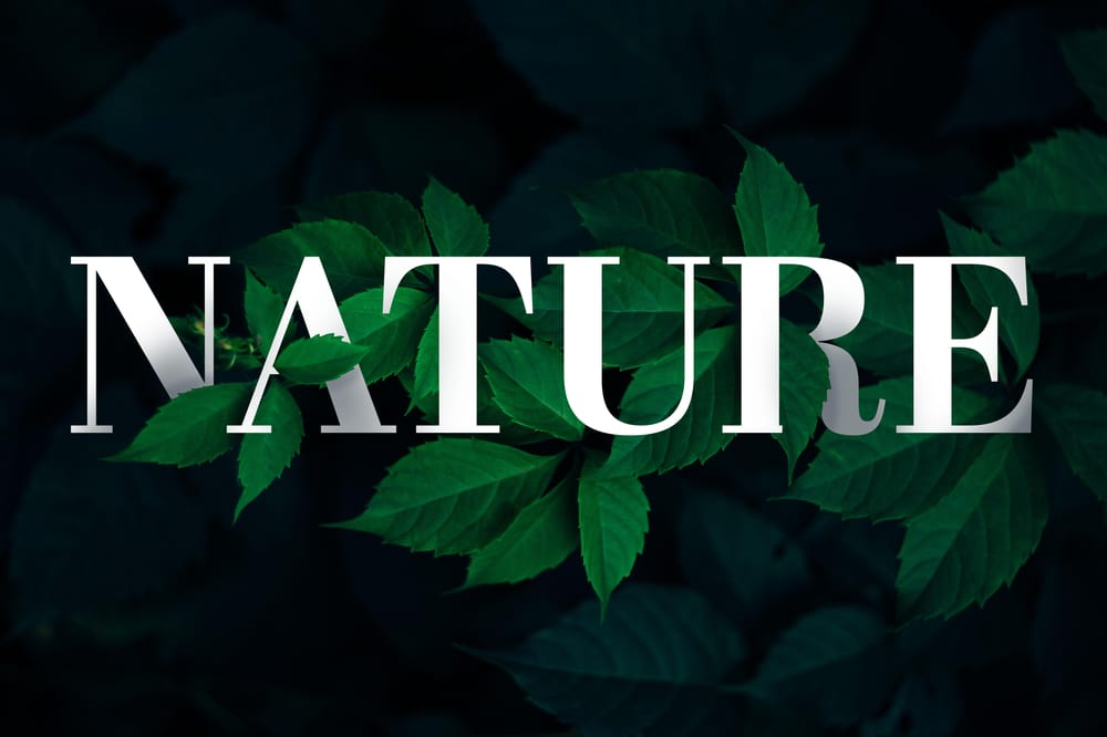 Photoshop Essentials - image 8 - student project