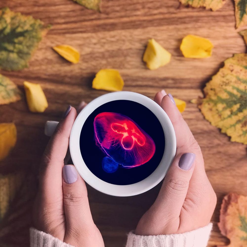Photoshop Essentials - image 2 - student project