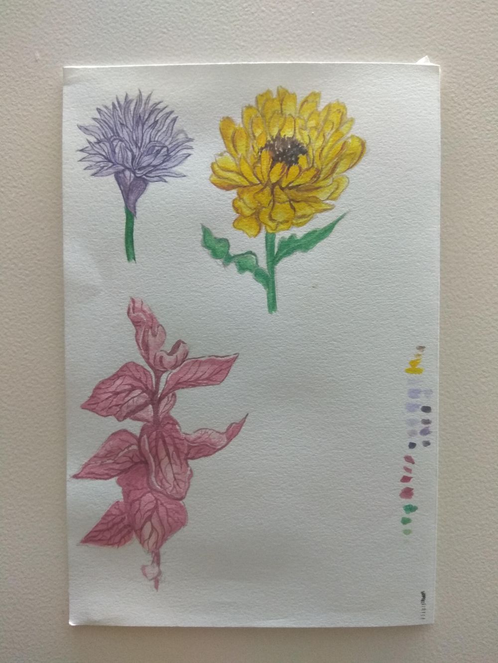 Gouache Flowers - image 1 - student project