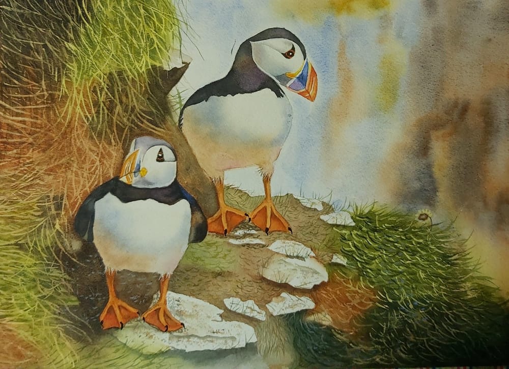 Puffins - image 1 - student project
