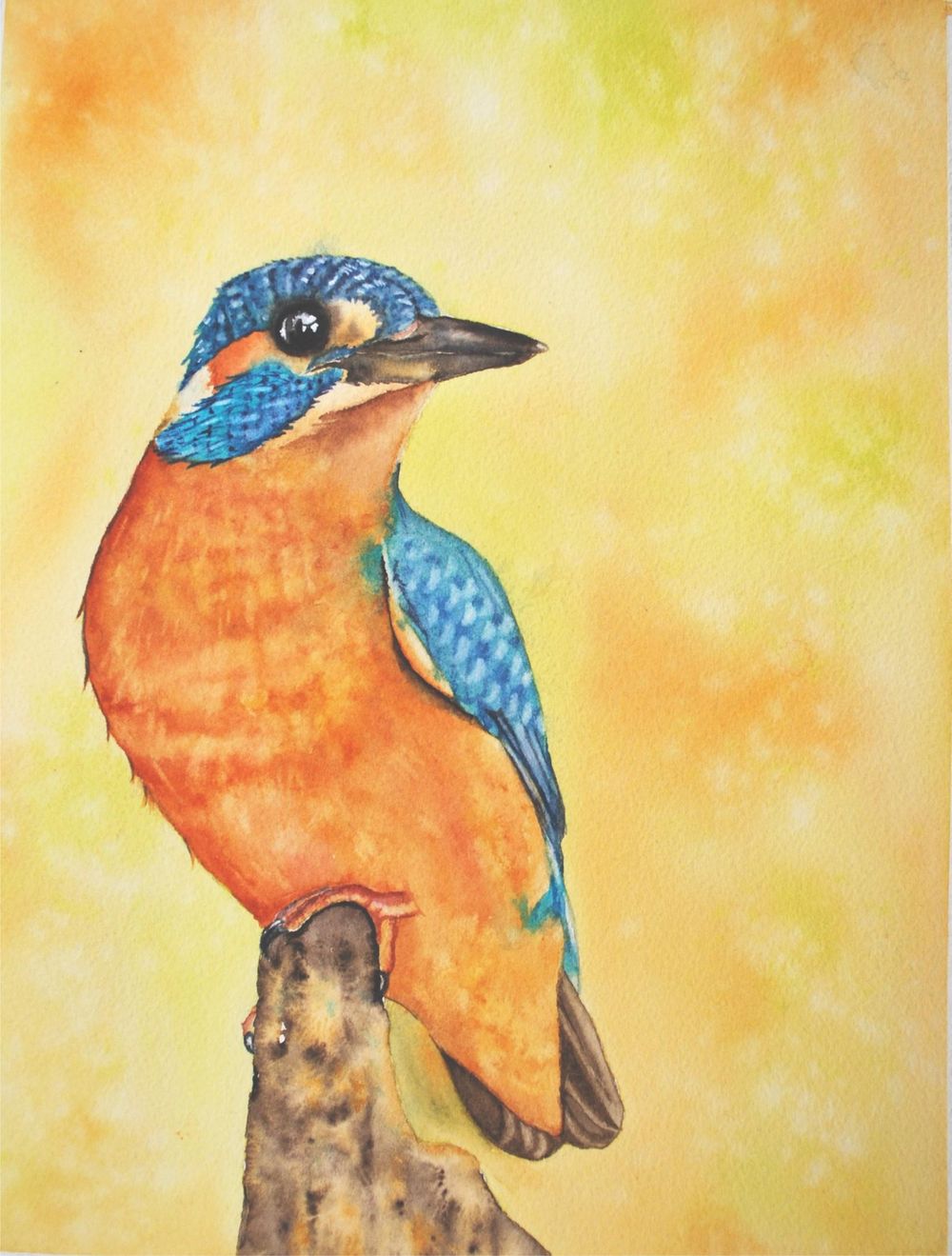 Kingfisher - image 1 - student project