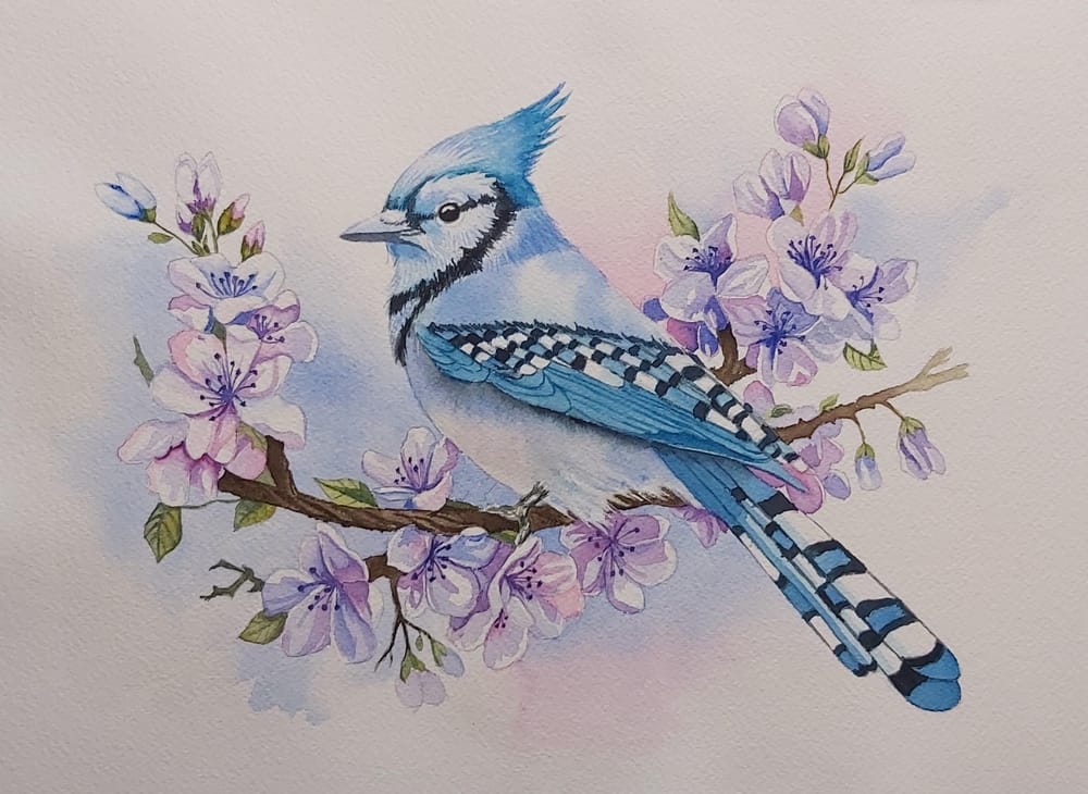 Blue Jay - image 1 - student project