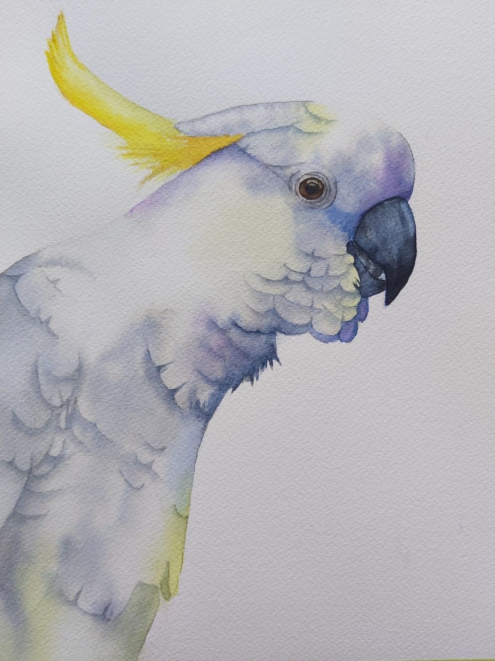 Cockatoo - image 1 - student project