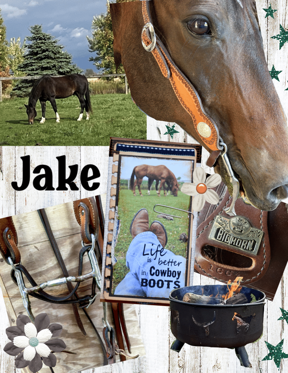 Jake in Photopea - image 1 - student project