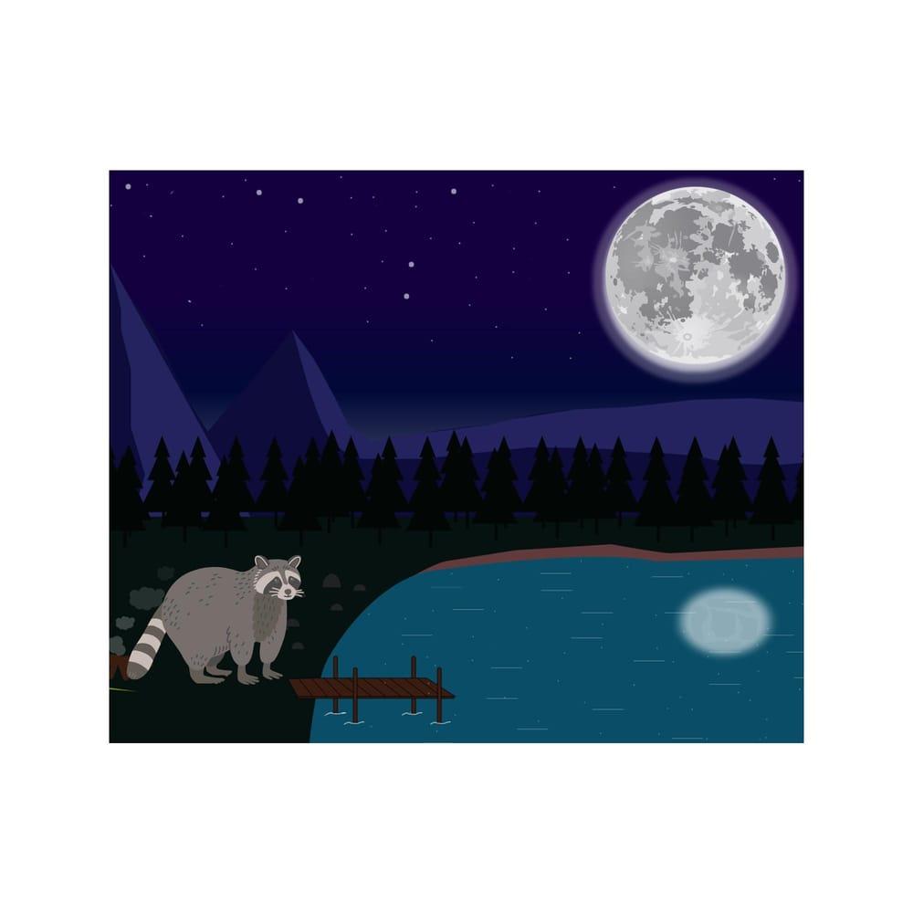 Little Raccoon Walks Under the Moon - image 2 - student project