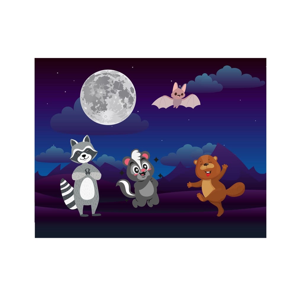 Little Raccoon Walks Under the Moon - image 4 - student project