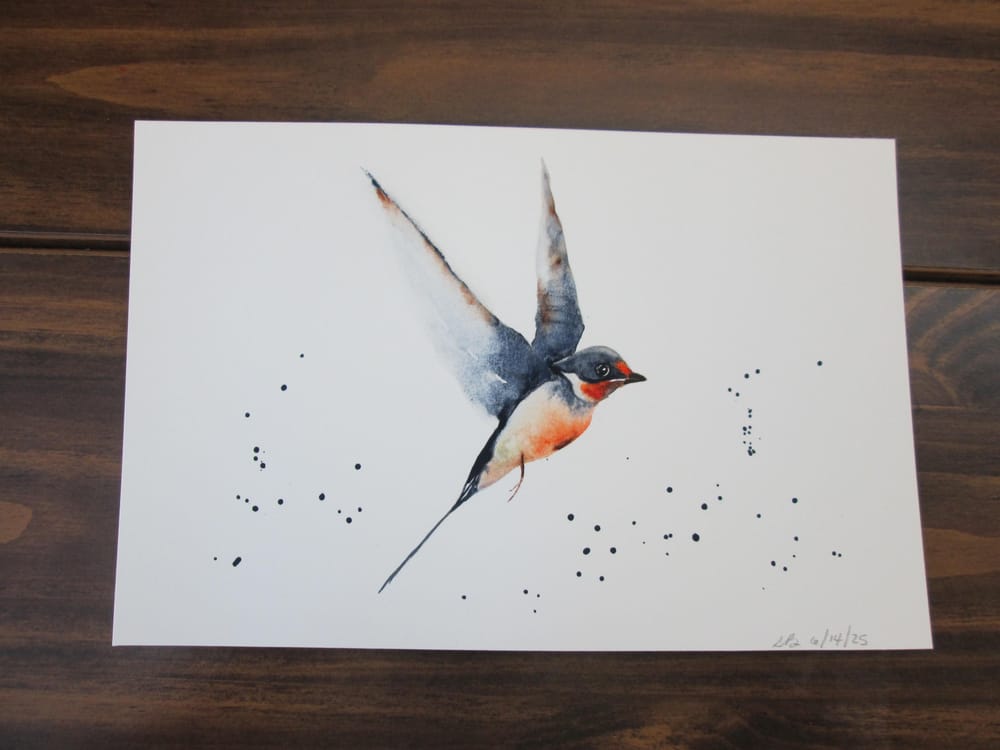 Swallows with Jane Davies - image 1 - student project