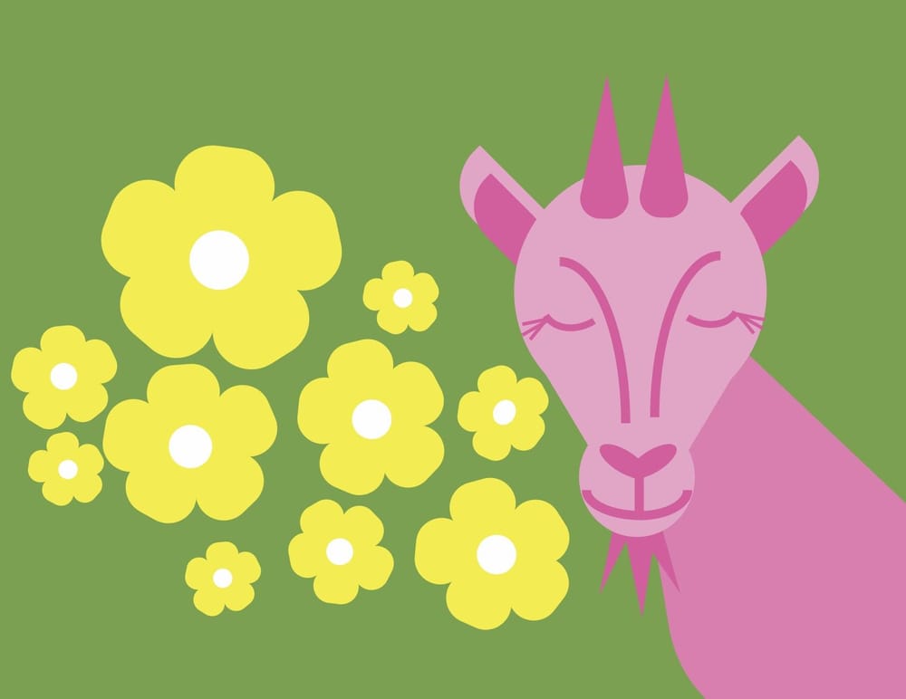 Illustrator Projects - image 1 - student project