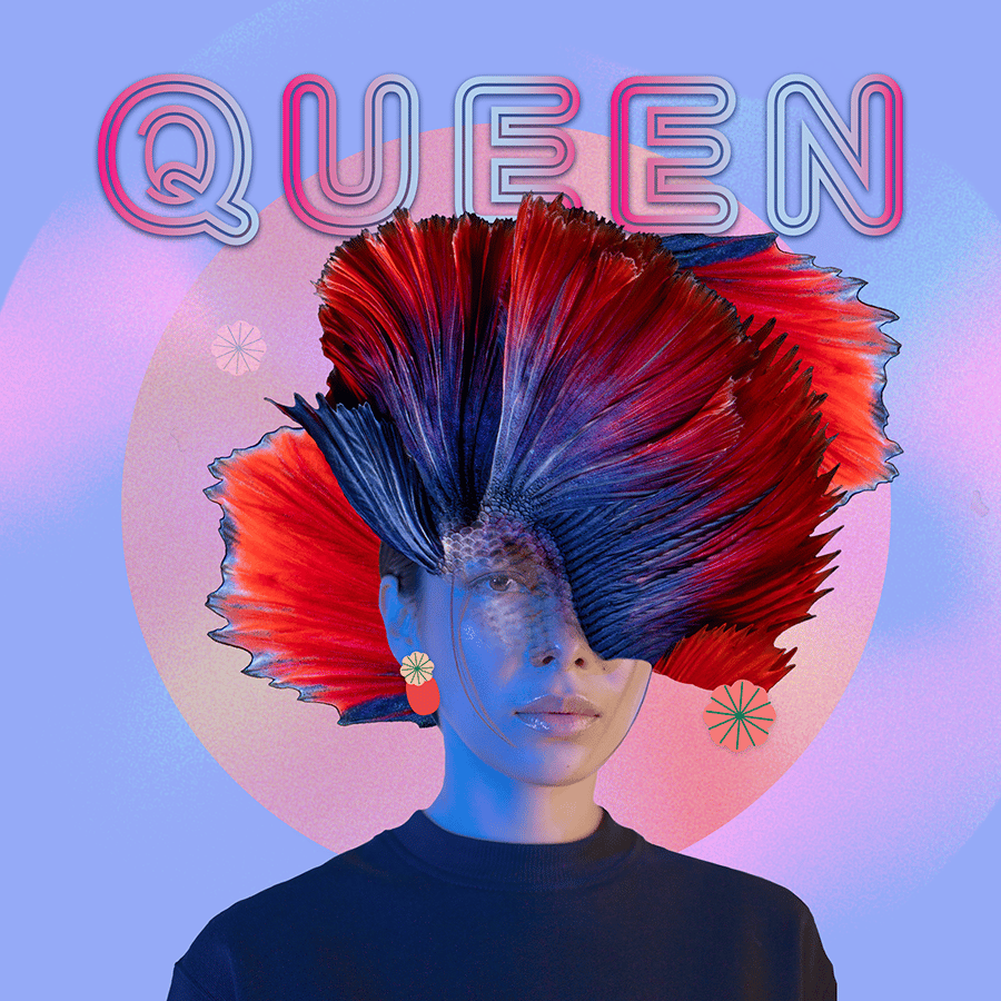 Queen - image 1 - student project
