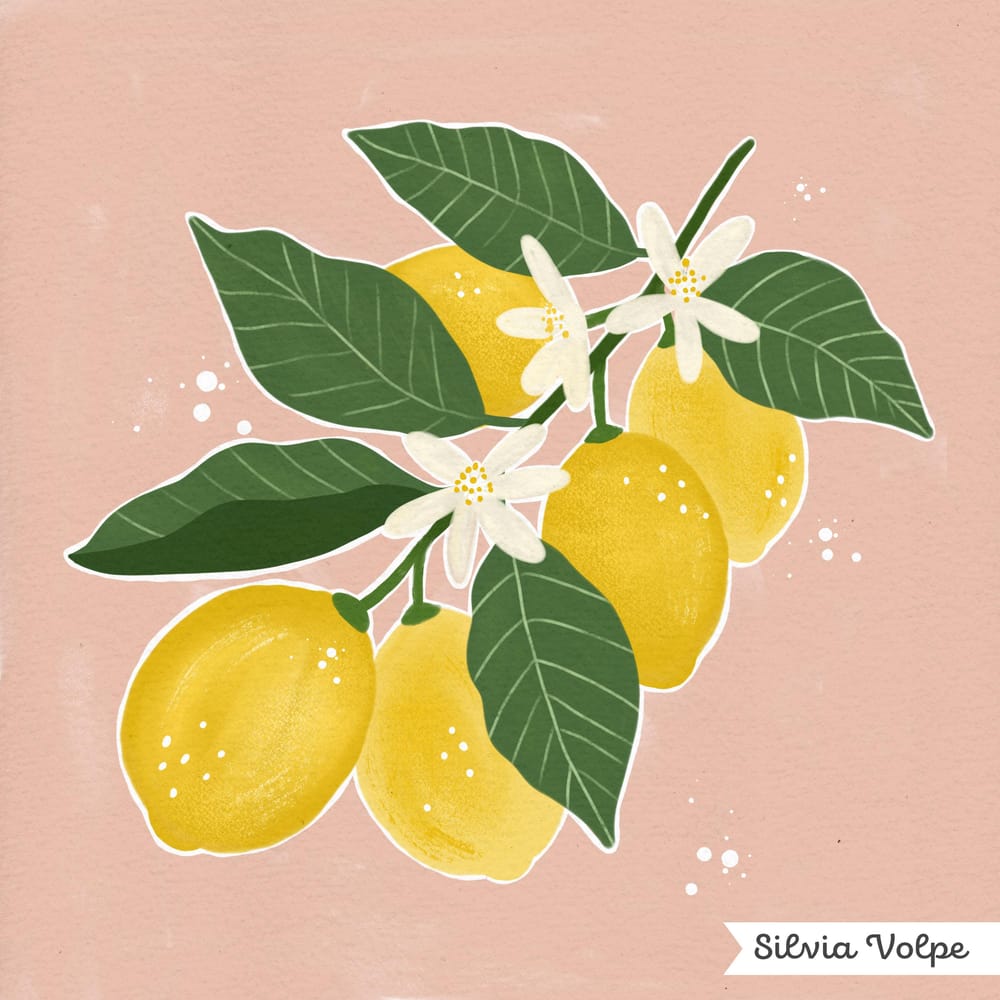 Lemon tree illustration - image 1 - student project
