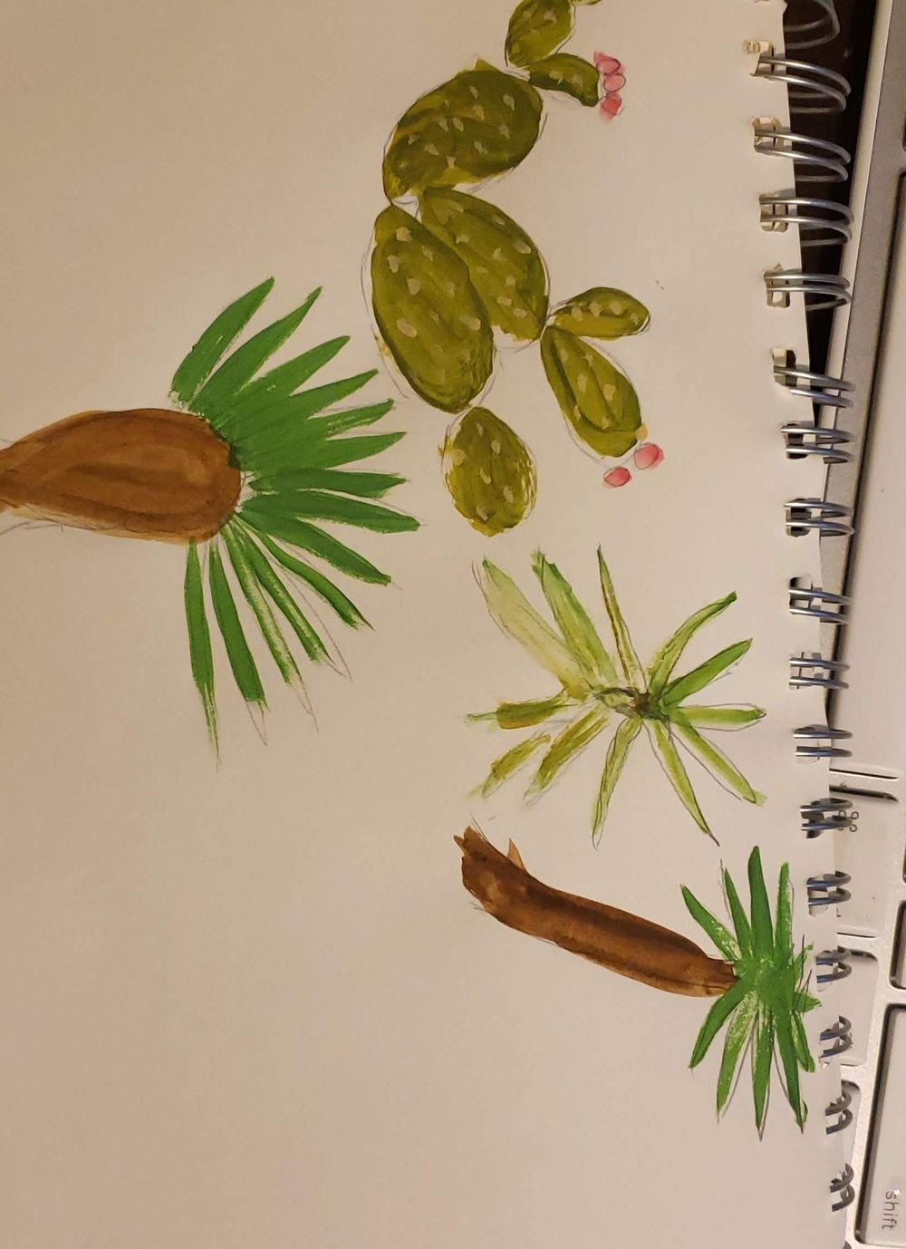 Cactus - image 1 - student project