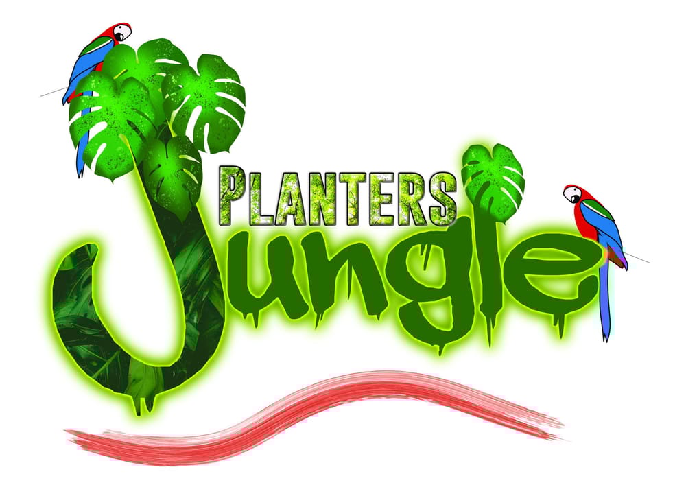 Jungle planter - image 1 - student project