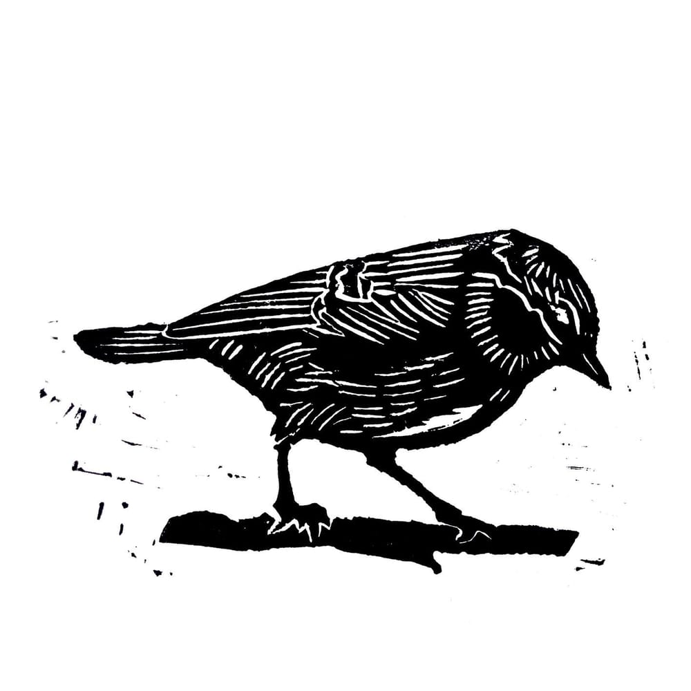 first bird attempt - image 1 - student project