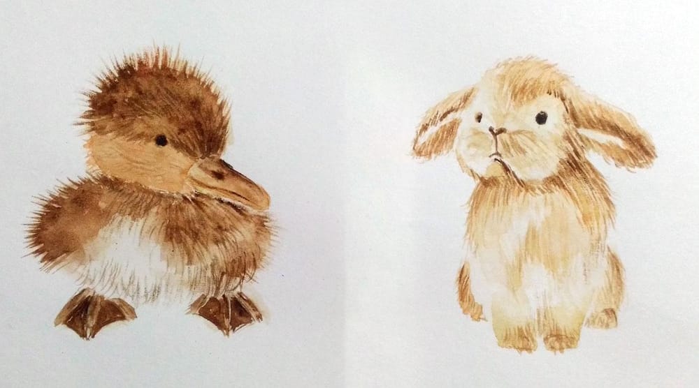 cuteness overload - image 1 - student project