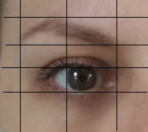 My Brows Through The Years - image 2 - student project