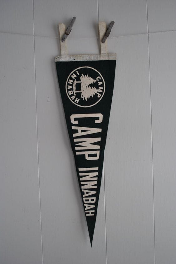 Vibralux G.O.A.T. Pennant - image 2 - student project