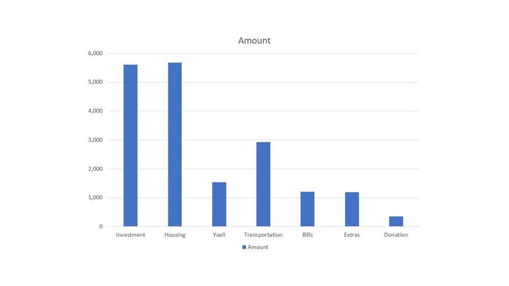 Our monthly expenses - image 1 - student project