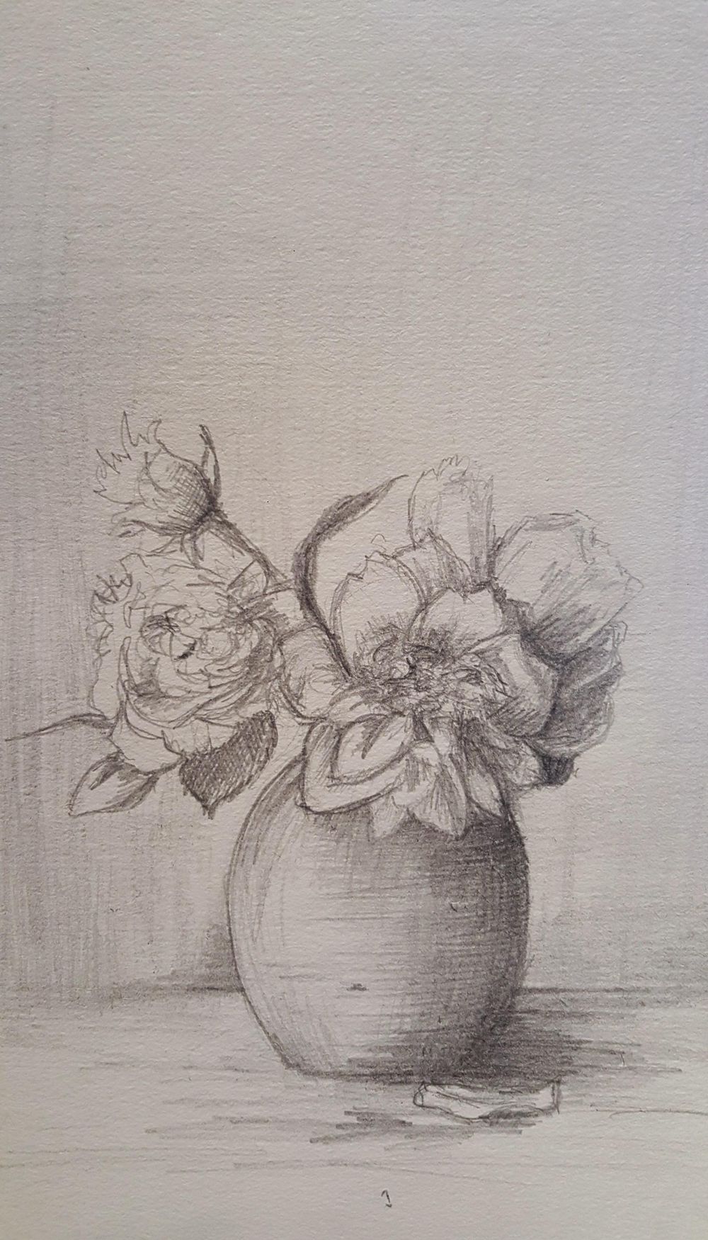 Pencil study Skillshare Student Project