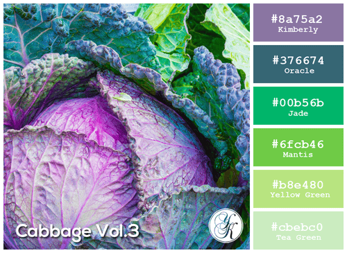 Cabbage Heaven organic pattern - image 1 - student project