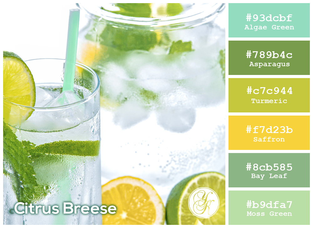 Citrus Breeze - image 1 - student project
