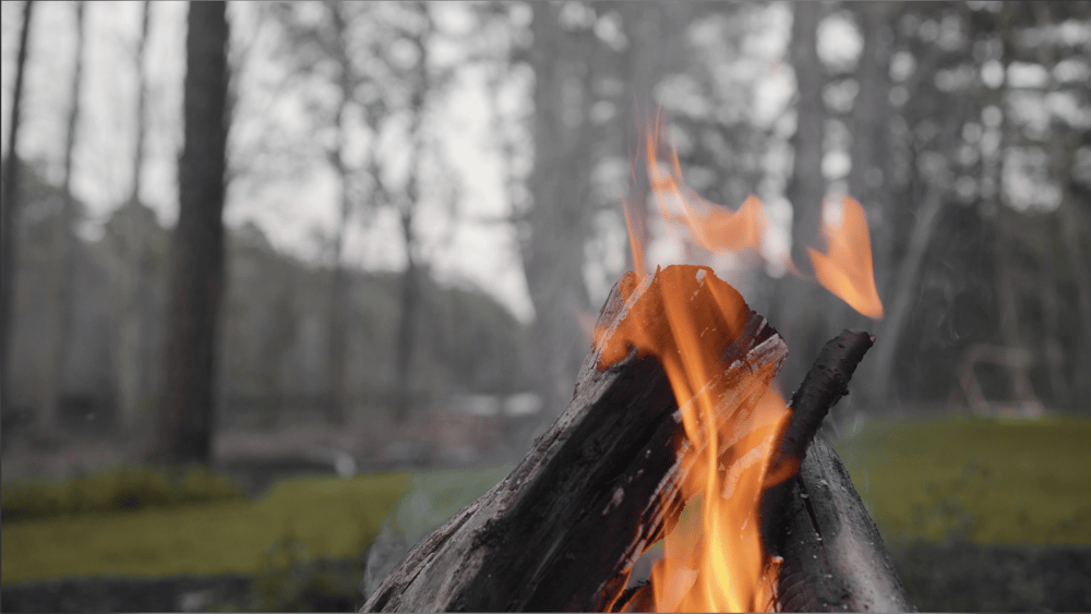 Branin Podolski - image 2 - student project