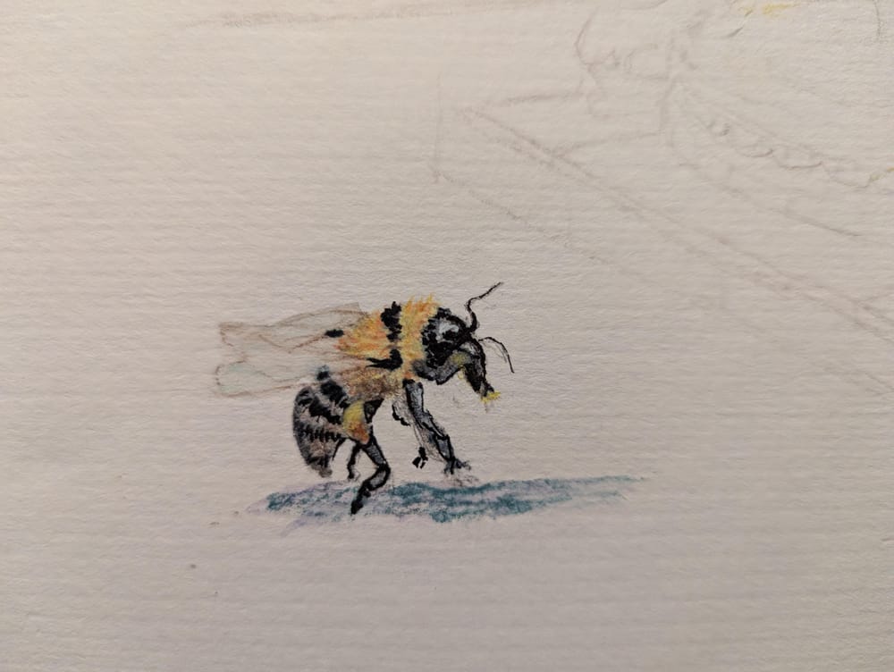 Painting Bees - image 2 - student project
