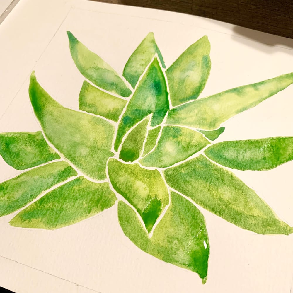 Aloe Vera - image 1 - student project