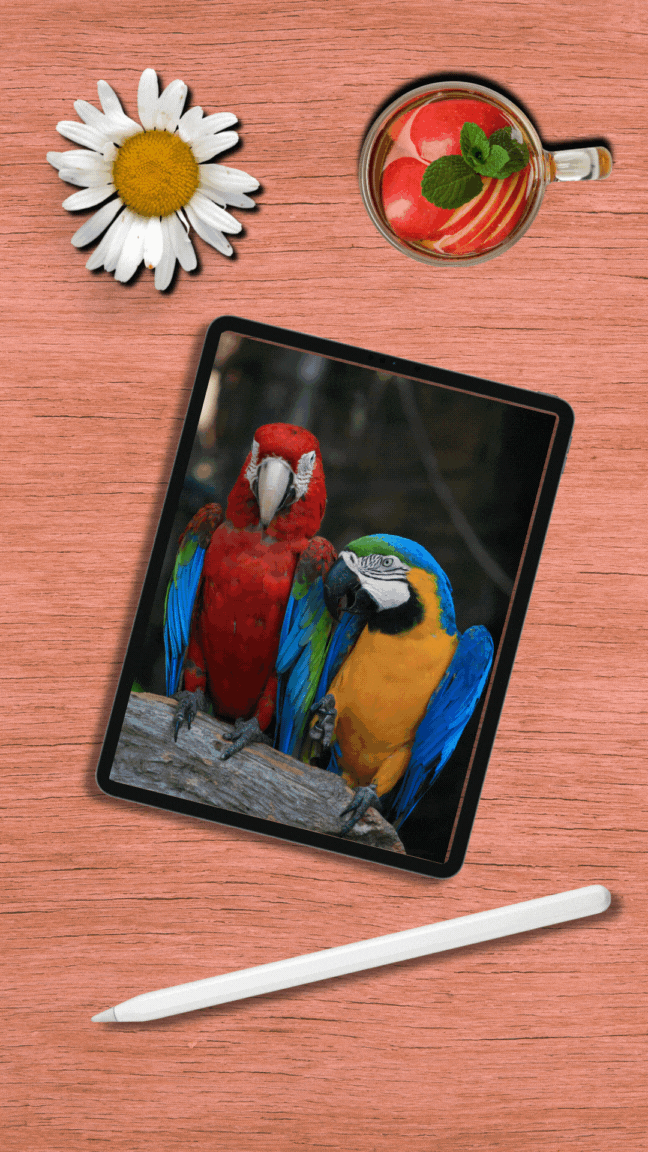 IPAD FRAME PROJECT - image 1 - student project