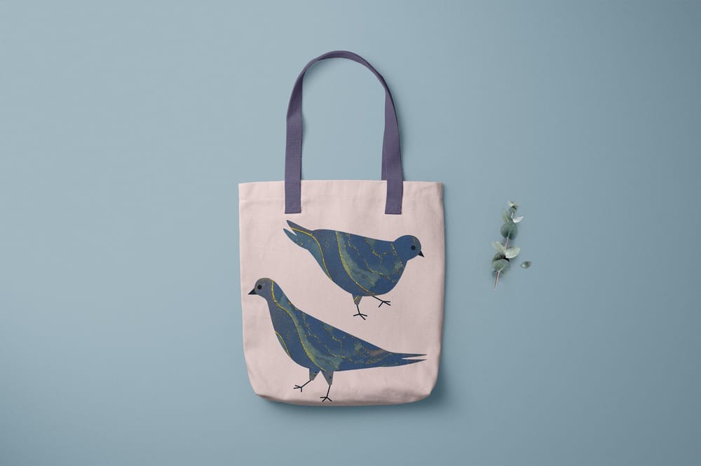 Marbled Pigeons - image 2 - student project