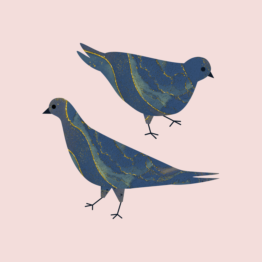 Marbled Pigeons - image 3 - student project