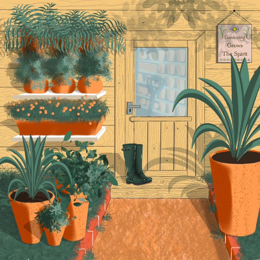 Monstera and Shed - image 2 - student project