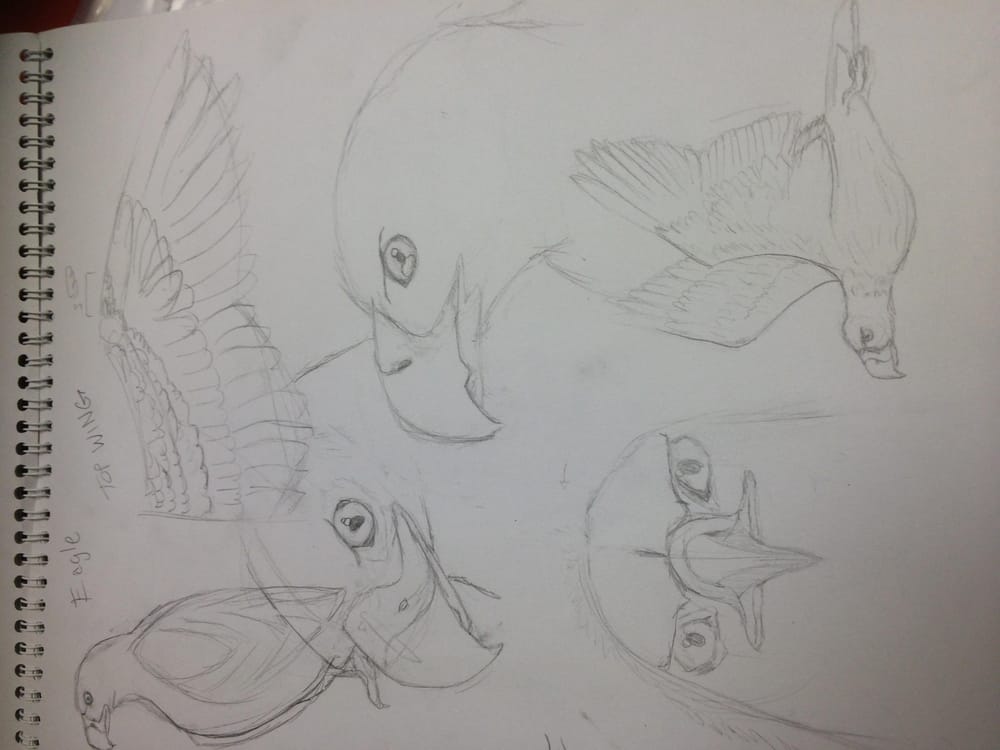 Variety of Animal Drawings - image 4 - student project