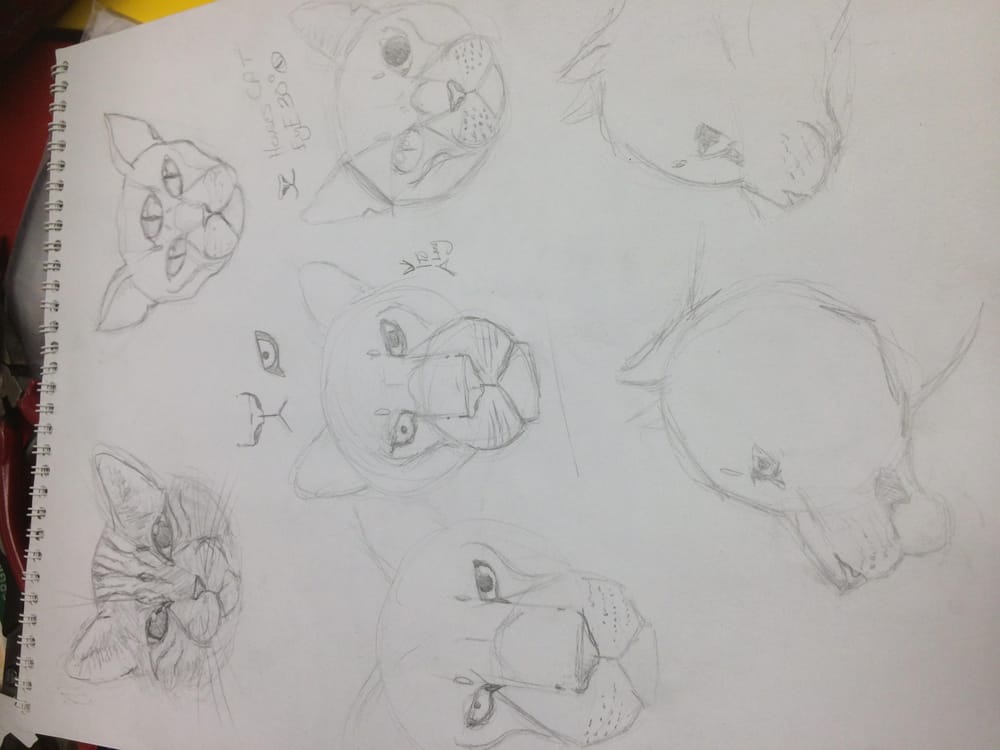 Variety of Animal Drawings - image 3 - student project