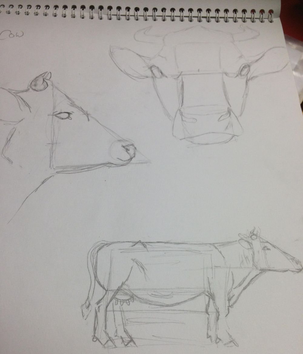 Variety of Animal Drawings - image 2 - student project
