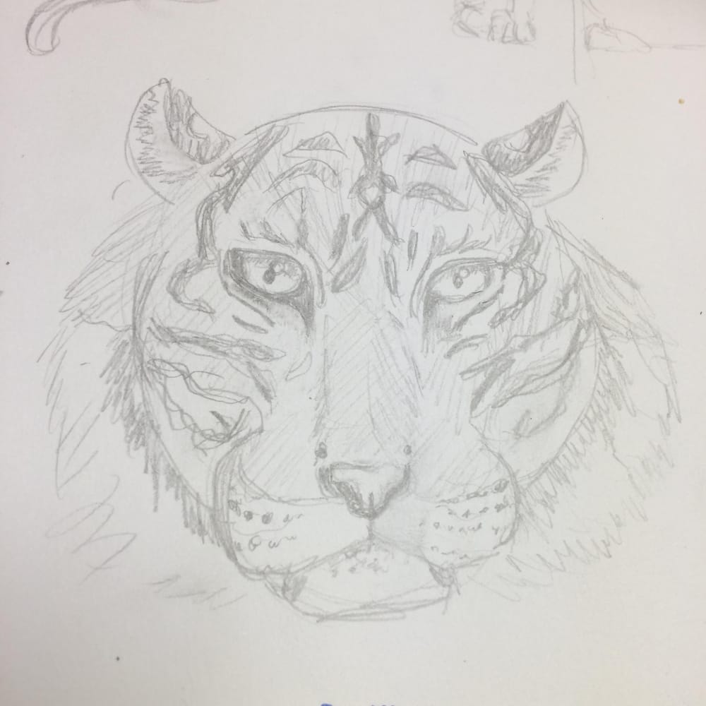 Variety of Animal Drawings - image 6 - student project