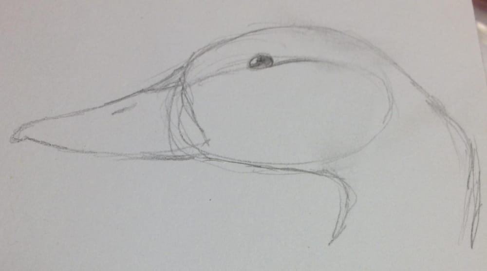 Variety of Animal Drawings - image 5 - student project