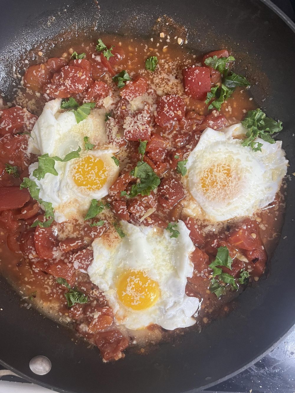 Eggs in Purgatory - image 1 - student project