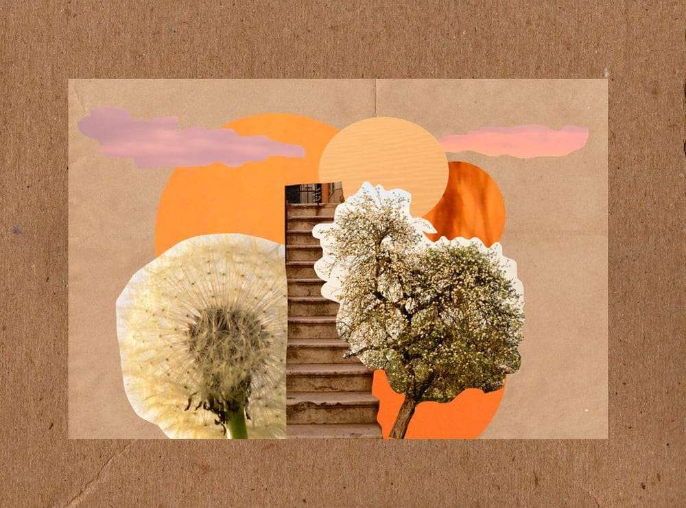 100 days project - image 1 - student project